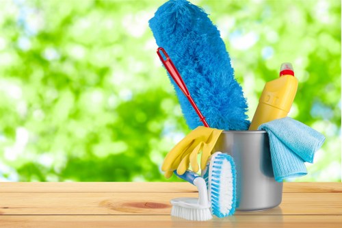Accessibility statement introduction for Paddington Carpetcleaning