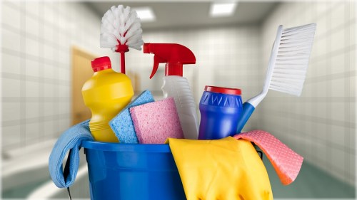 Deep carpet cleaning for a busy Paddington living space