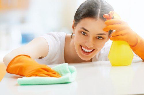 Professional oven cleaning in Paddington with deep degreasing tools