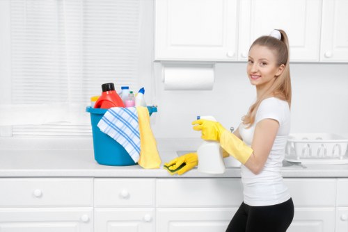 Residential window cleaning service in Paddington improving natural light