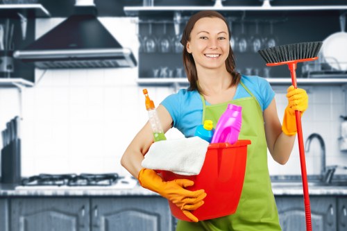 Kitchen and bathroom domestic cleaning in Paddington