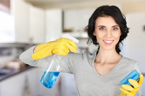 Paddington carpet cleaning in action for homes and businesses