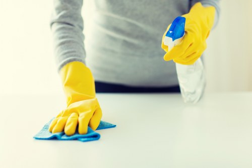 Professional one off cleaning service in a Paddington home living room