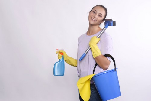 Deep cleaning team in Paddington refreshing a bright home interior