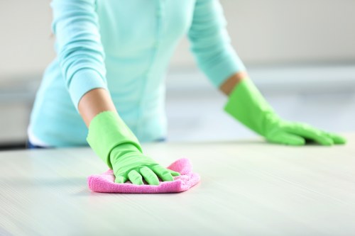 Protective gloves and cleaning solution used in carpet care