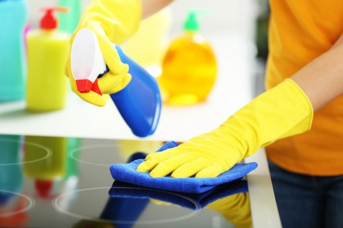 Domestic cleaning service in Paddington for busy households