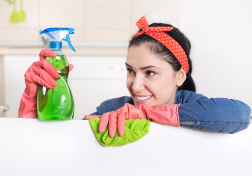Risk assessment check before starting carpet cleaning work
