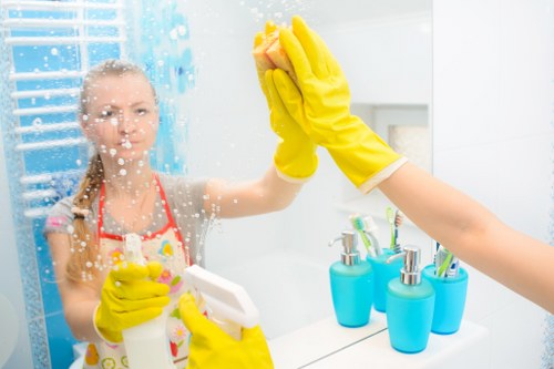 Regular home cleaning service in Paddington apartment