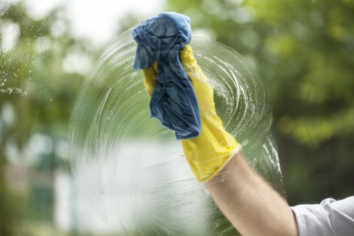 Screen-reader friendly web access for Paddington Carpetcleaning