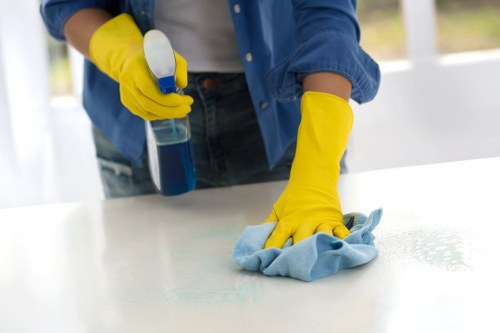 Cleaner using hot water extraction for carpets in Paddington