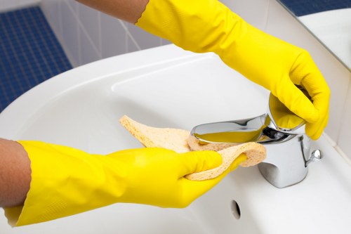 Discussing a carpet cleaning concern and service details