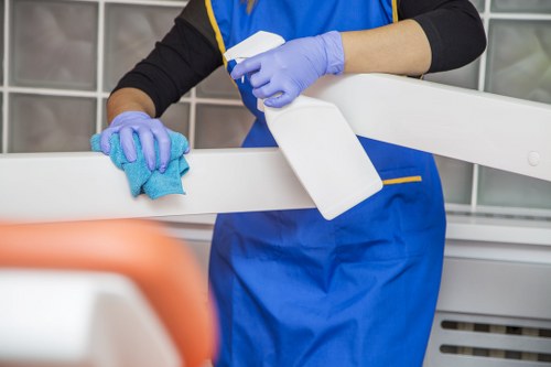 Bathroom descaling and sanitising during move-out cleaning
