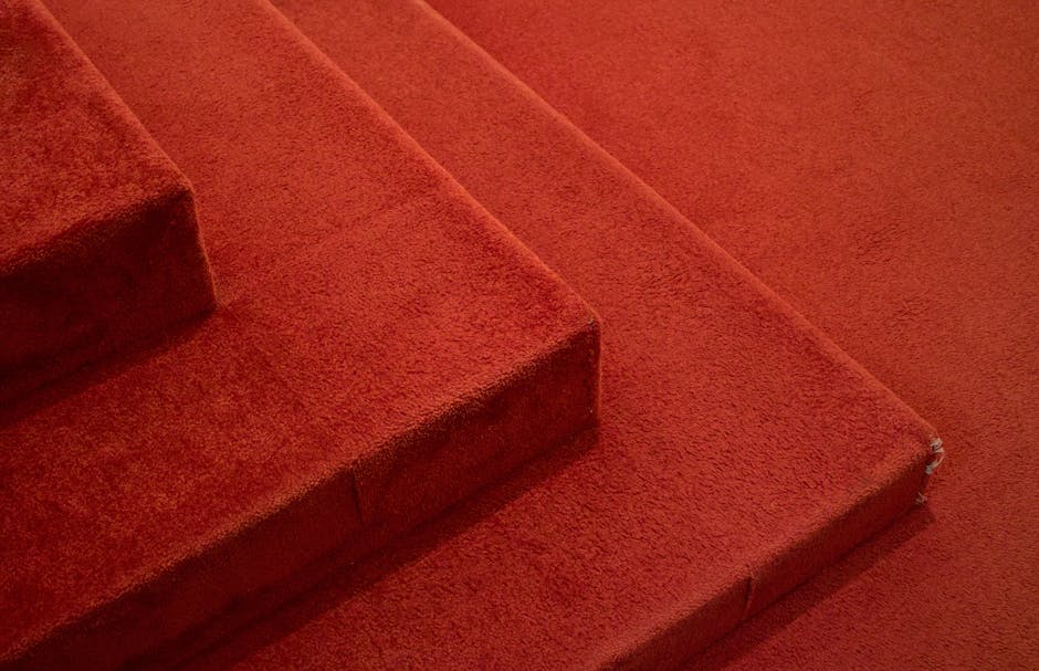 Mould on carpets in Paddington basements: urgent fixes image